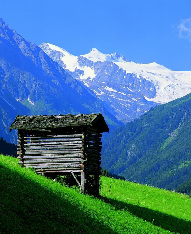 Haus Egger Διαμέρισμα Neustift im Stubaital Εξωτερικό φωτογραφία