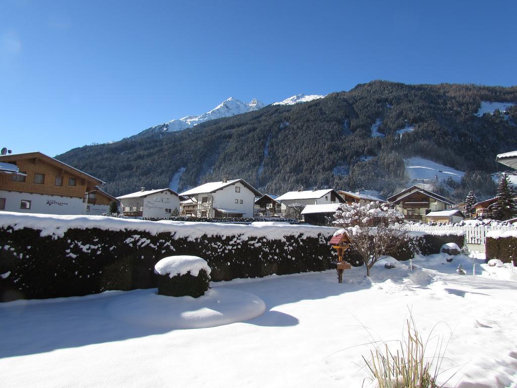 Haus Egger Διαμέρισμα Neustift im Stubaital Εξωτερικό φωτογραφία